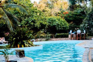 מה חדש בבריכות אינטקס - עיצובים וטכנולוגיות מתקדמות